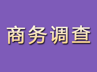 滨城商务调查